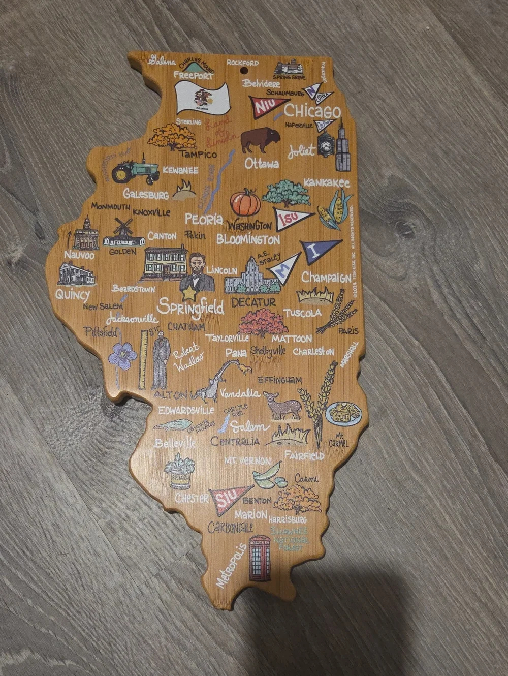 Illinois State Wooden Wall Art Map – Multicolor